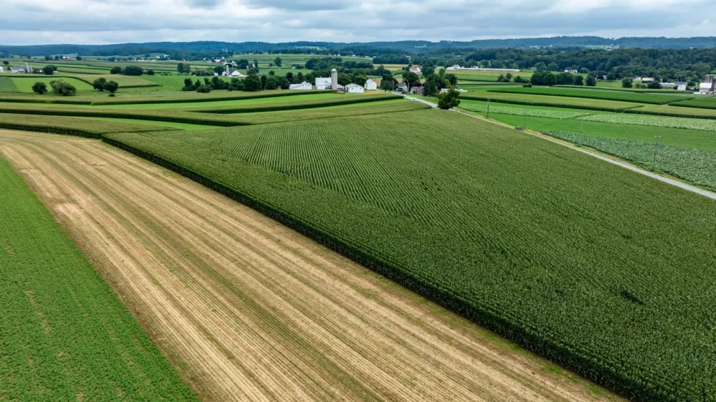 Guide to Expansive Soil Types